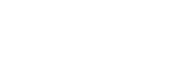 Gama Auditor